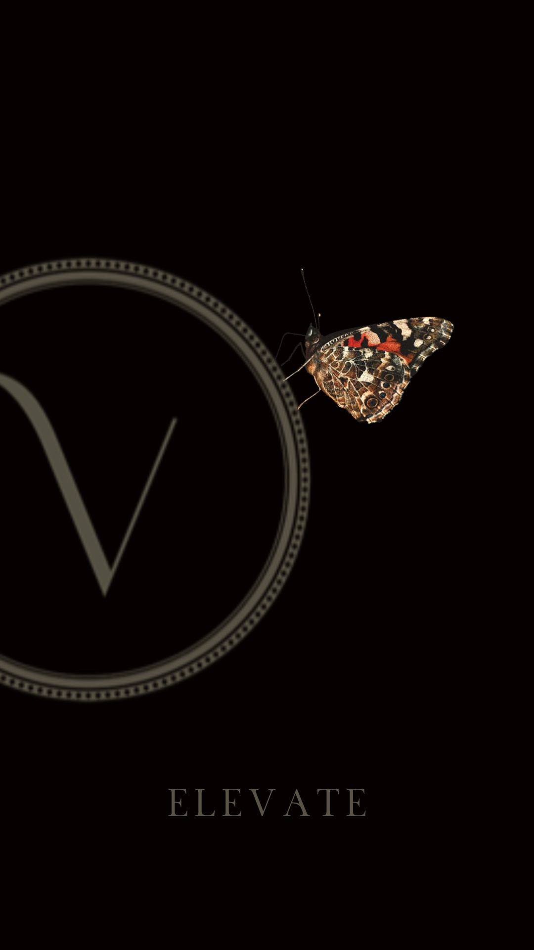 An elegant letter V enclosed in a circle with a butterfly perched on the upper right. The background is black.