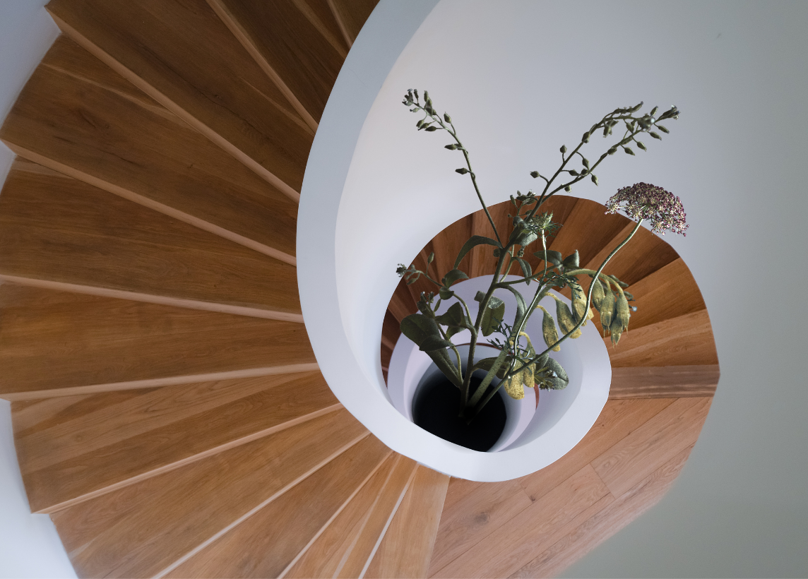 A bird's eye view of a spiraling indoor staircase where the bottom seems to disappear into darkness, where flowers have sprouted and grow upward with the spiral.