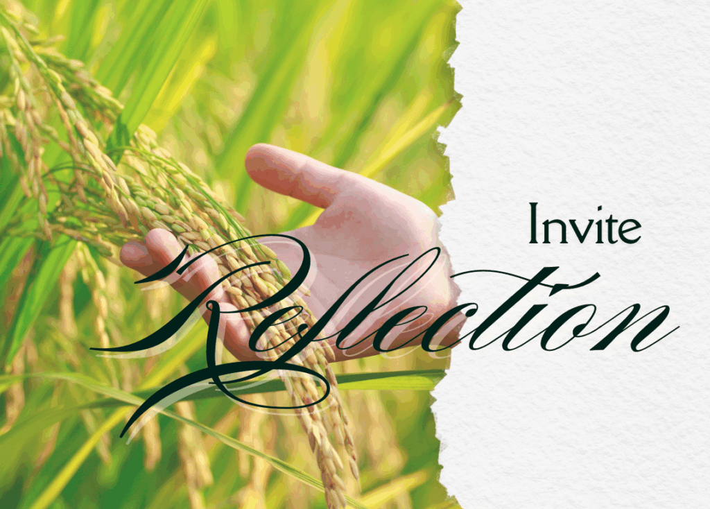 Text on the right reads: Invite reflection. The background image depicts a close-up of a hand holding wheat in a field that is yet to be harvested.